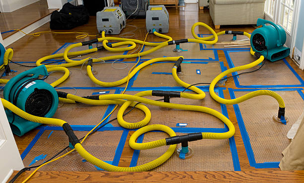 Professional Crawl Space Water Removal technician working in Frontenac, MO